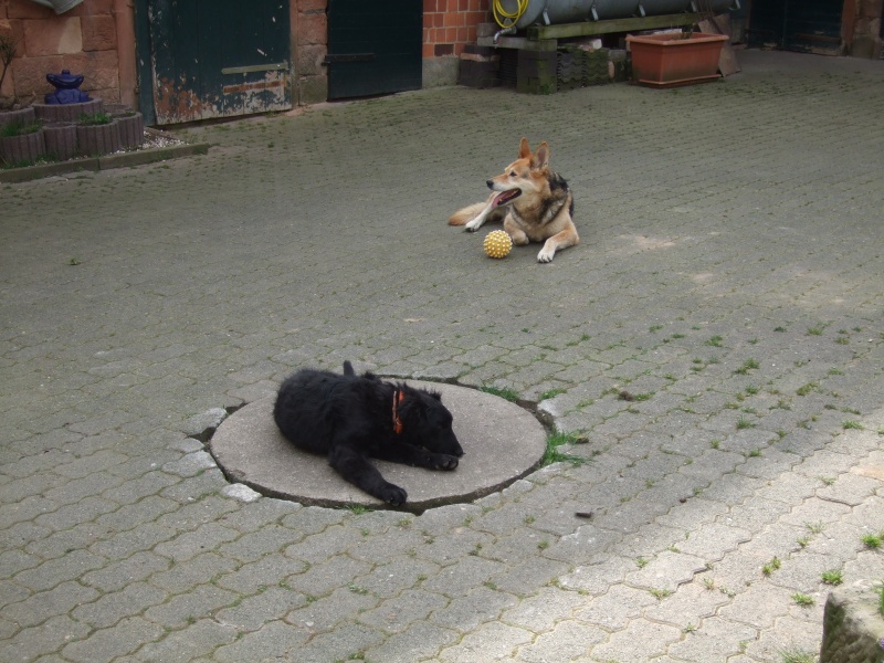 Ostern 2007 Orleshausen 028 